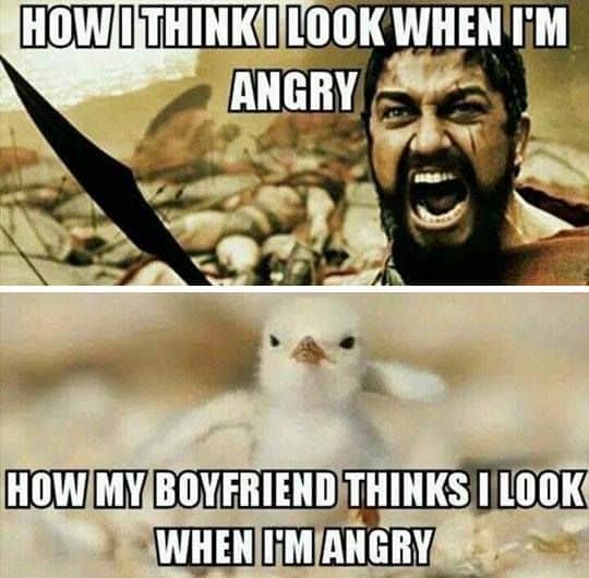 мемы про гнев | мемы про злость | мемы про злую собаку