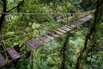 Старый подвесной мост в тропических лесах Коста-Рики