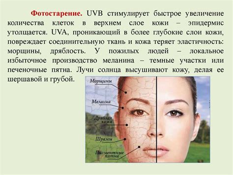 Адаптация альбиносов к солнечному излучению