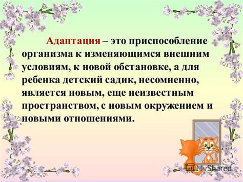 Адаптация к новой обстановке и решение бытовых вопросов