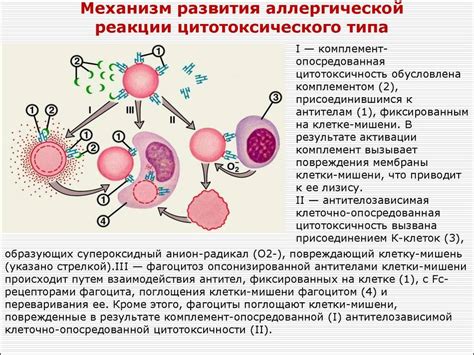 Аллергические реакции на звездочку