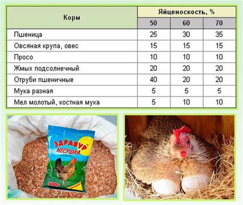 Альтернативные источники питания для кур