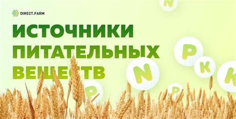 Альтернативные источники питательных веществ при ограничениях по свекле