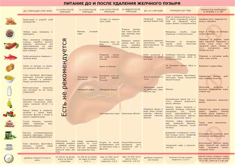 Альтернативные продукты вместо грецких орехов после удаления желчного пузыря