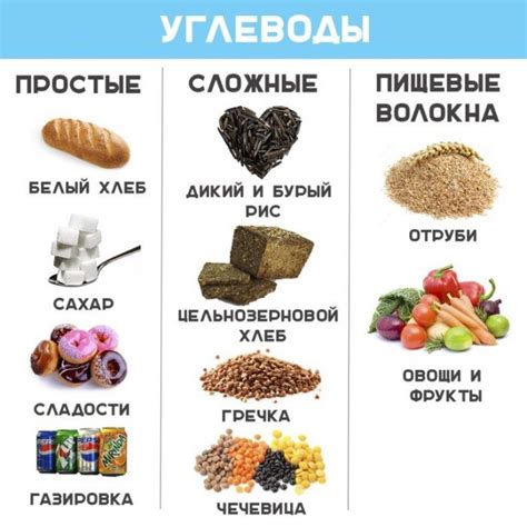 Альтернативные продукты для собаки