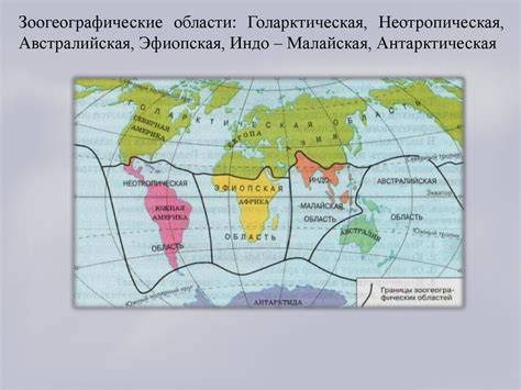 Ареал и миграции