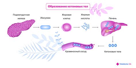 Ацетон в организме: причины и последствия