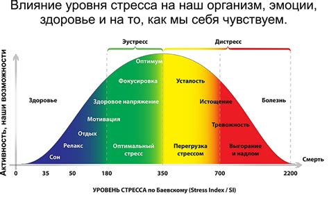 Бег вечером: влияние на уровень стресса