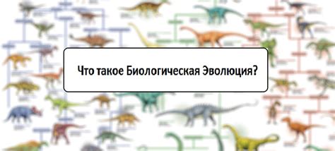 Биологическая эволюция: как сексуальный диморфизм формируется