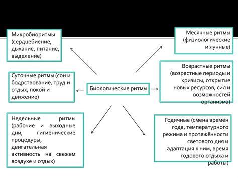 Биологические факторы и их влияние на интеллектуальные способности