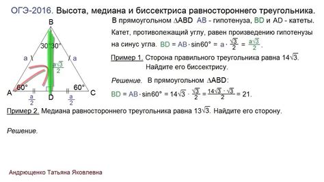 Биссектриса равностороннего треугольника как медиана