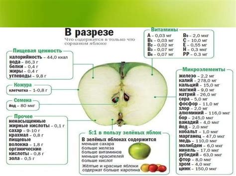 Богатый витаминами состав яблок