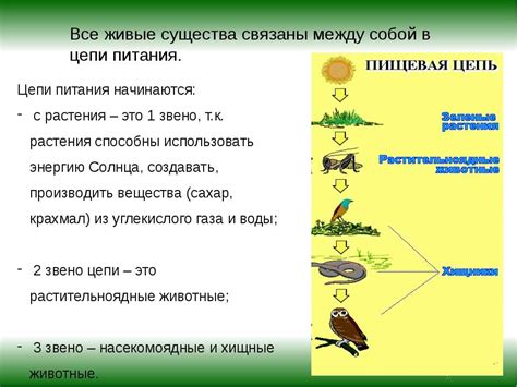 Важность и значение для экосистемы