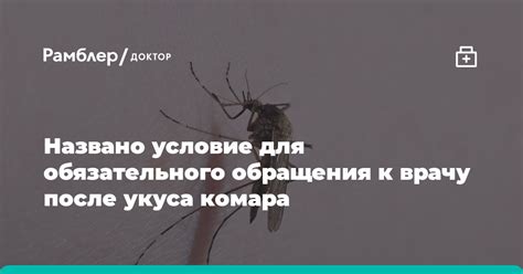 Важность обращения к специалисту после укуса кролика во время сна