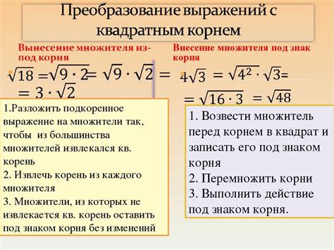 Важность понятия корня в математике