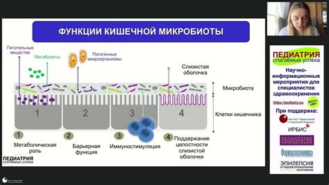 Важность постоянного контроля креатинина у кошки