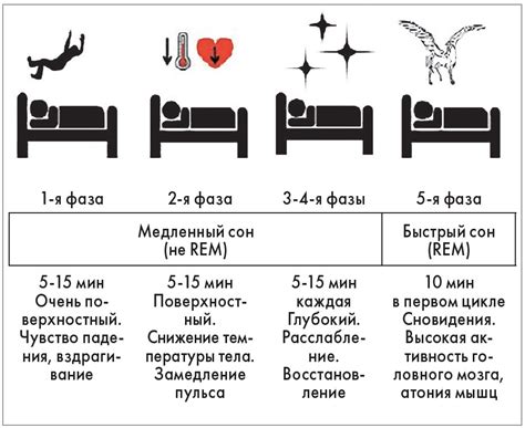 Важность постоянства и продолжительности фазы медленного сна