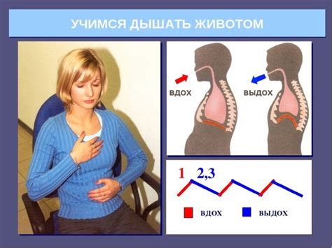 Важность правильного определения начала потуг