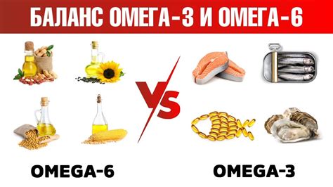 Важность правильного соотношения омега 3 и омега 6