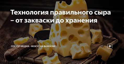 Важность правильного хранения сыра