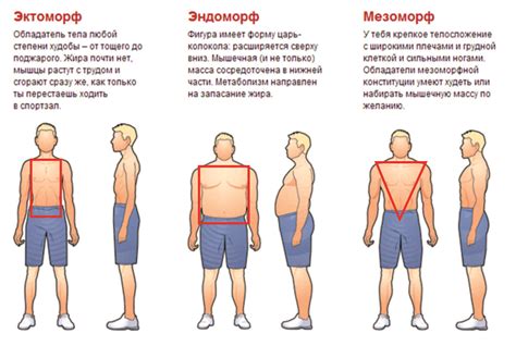 Важность телосложения парня для девушек