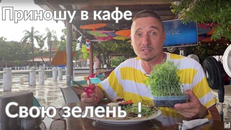 Варианты употребления в пищу