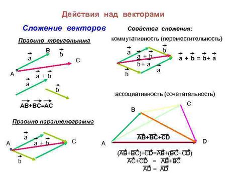 Векторы: основные понятия