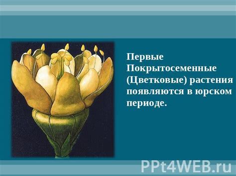 Веномы в растительном мире