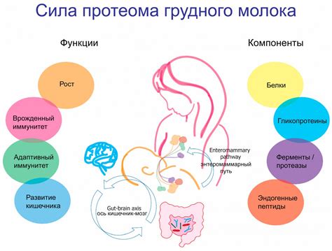 Взаимосвязь ананасов и грудного молока