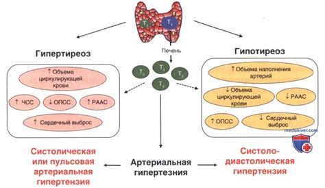 Взаимосвязь между голосом и щитовидной железой