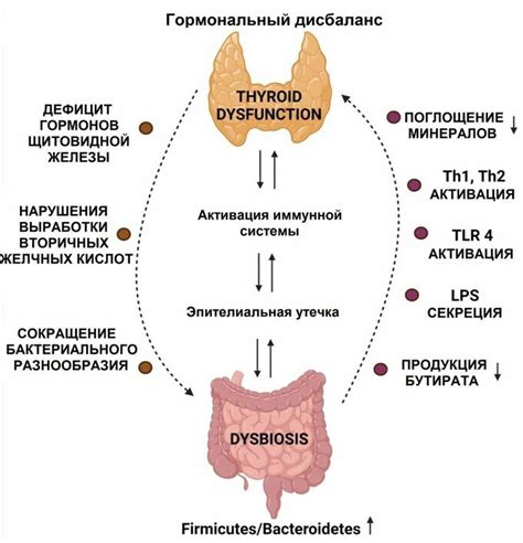 Взаимосвязь между стрессом и деятельностью щитовидной железы