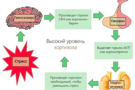 Взаимосвязь пота и уровня гидратации