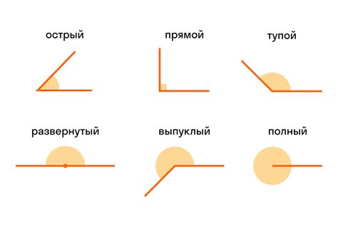 Виды углов: поворот, угловая делимость и прямой угол