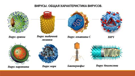 Вирусы и действие на организм