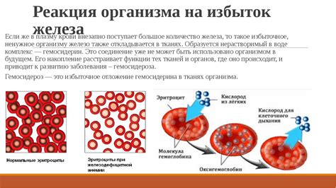 Влияет ли низкий уровень гемоглобина на проведение прививок?