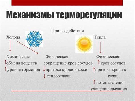 Влияние высокой температуры на репликацию бактериофага