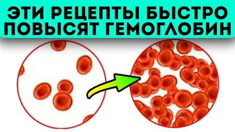 Влияние гемоглобина на спортивные достижения