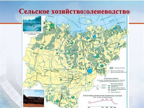 Влияние географического положения на размещение