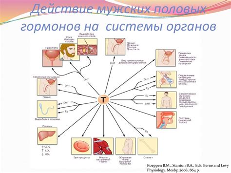 Влияние гормонов на рост полипа