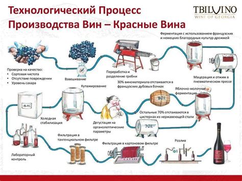 Влияние дождя на производство вина: особенности использования влажного винограда