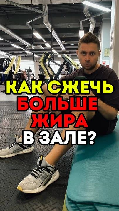 Влияние креатина на процесс жиросжигания