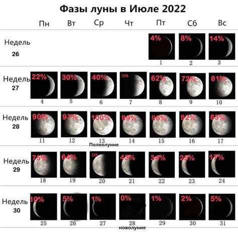 Влияние лунной фазы на стрижку волос