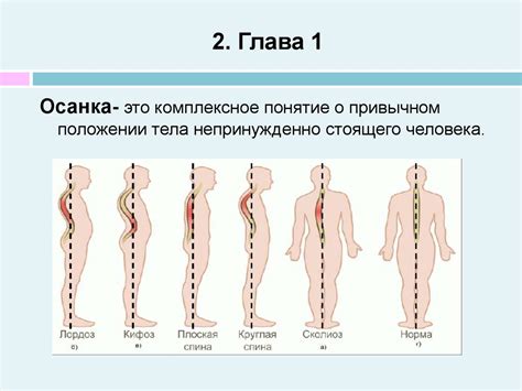 Влияние на позвоночник и кровообращение