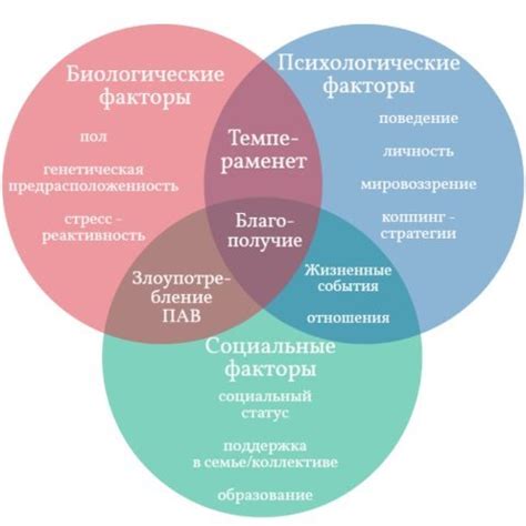 Влияние окружения на формирование представлений