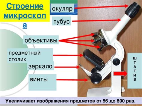 Влияние первого электронного микроскопа на науку и медицину