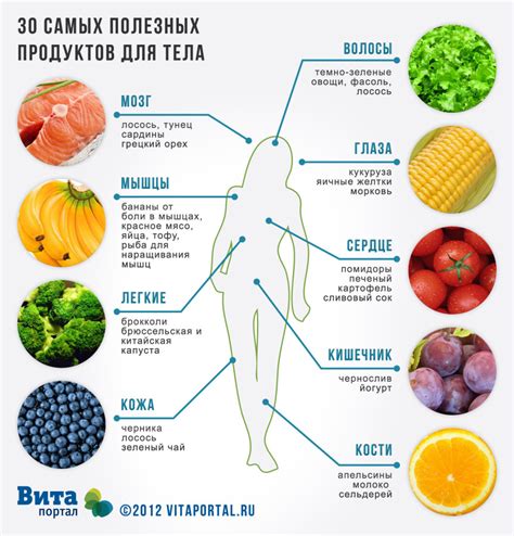 Влияние питания на вес: Меньше ешь – Меньше весишь?