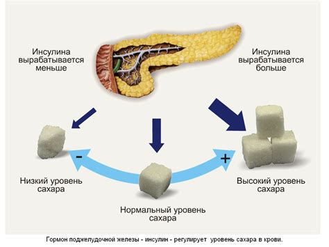 Влияние питания на уровень глюкозы