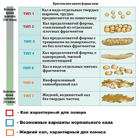 Влияние повышенной температуры на жидкий стул и кишечную функцию