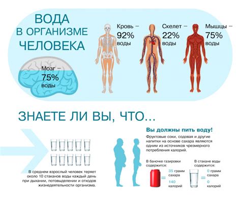 Влияние потери жидкости на организм