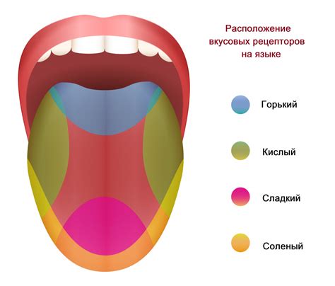 Влияние размораживания на вкус блюда